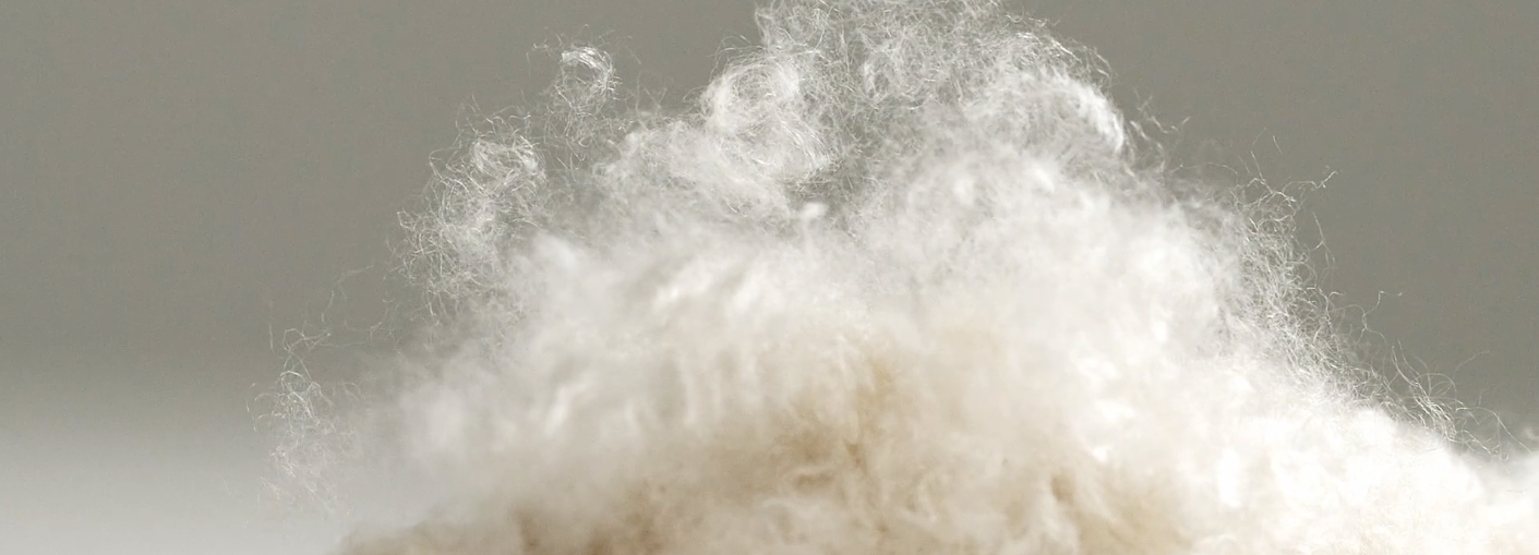 Close-up of fluffy white cotton fibers against a soft gray background for the Bauerfeind Medical Cotton Air collection launch.